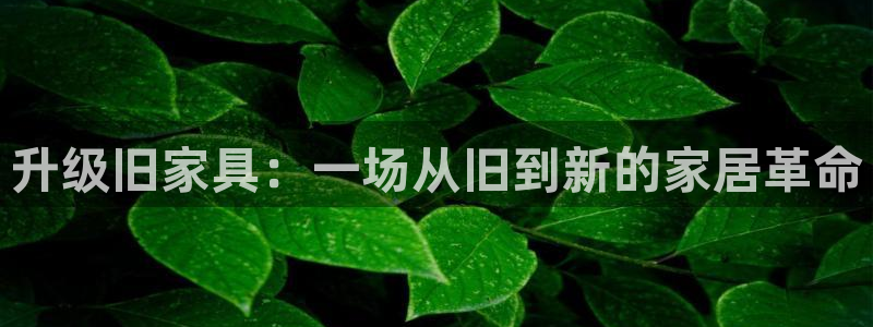 先锋娱乐会所地址