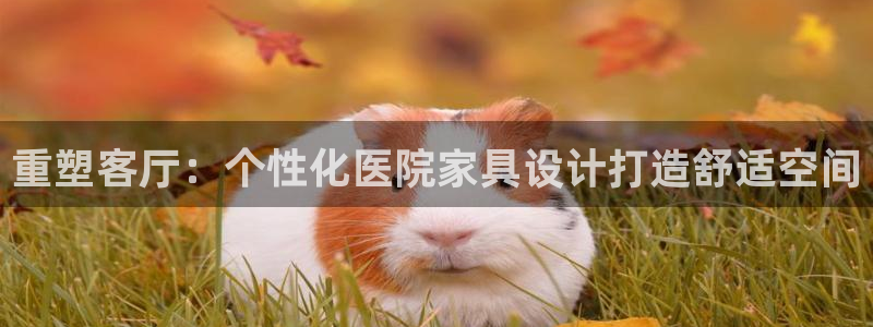 先锋娱乐入口