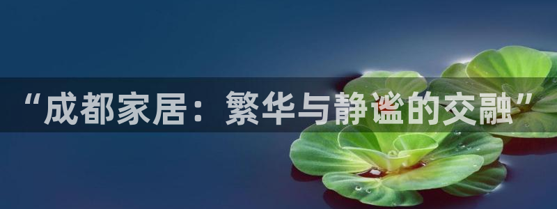 先锋澳门新娱乐