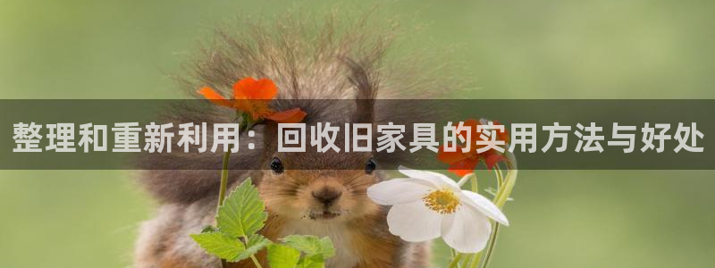 先锋娱乐系统
