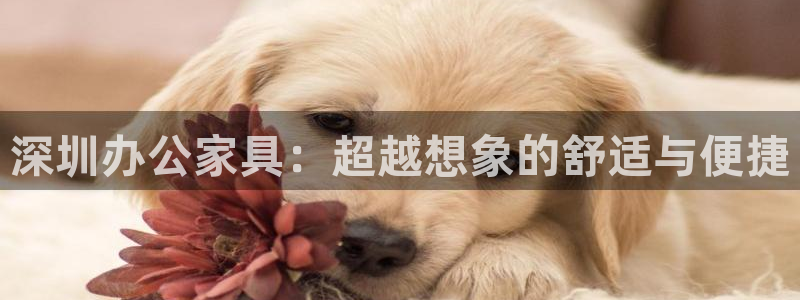 先锋娱乐管理集团招聘