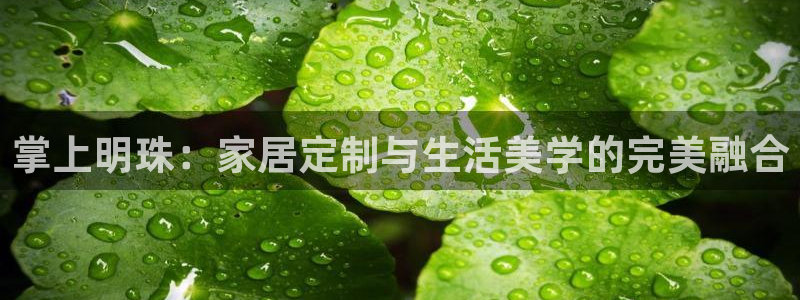 先锋娱乐管理集团