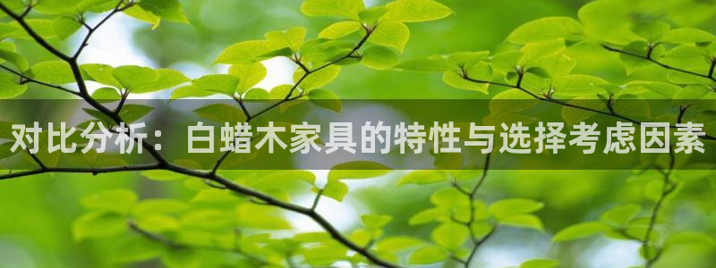 先锋娱乐管理集团招聘
