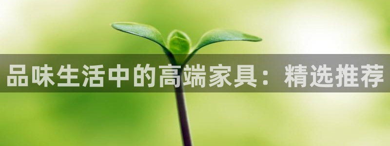 先锋娱乐手机：品味生活中的高端家具：精选推荐