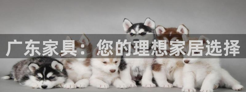 先锋娱乐管理集团