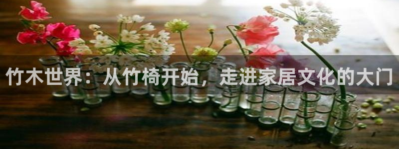 先锋综合娱乐