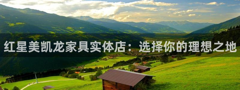 先锋方舟娱乐集团