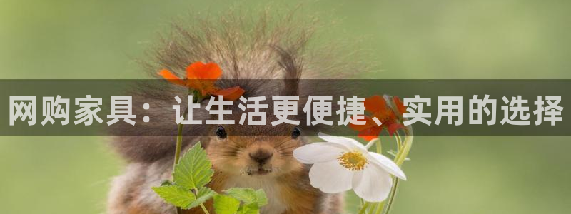 先锋娱乐简介图片