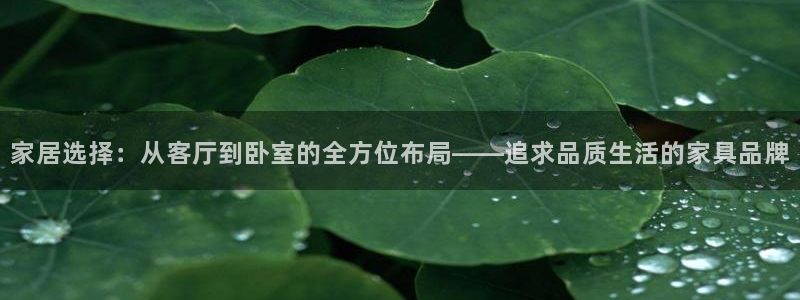 先锋电子旗下先锋娱乐