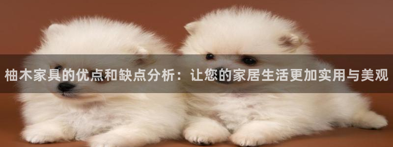 先锋娱乐赛