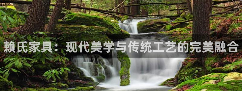 先锋支付娱乐城：赖氏家具：现代美学与传统工艺的完美融合