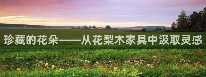 先锋国际娱乐