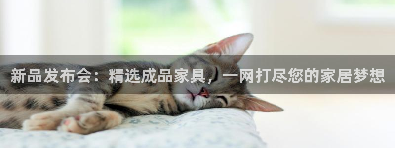 先锋娱乐官