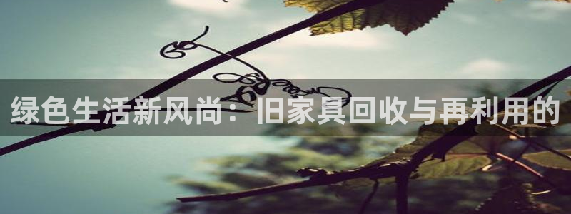 先锋娱乐邀请码多少位啊