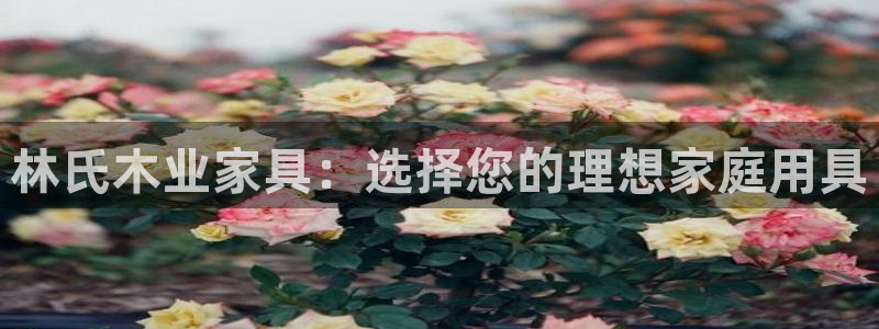 先锋国际娱乐