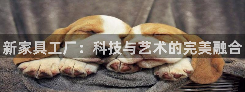 先锋娱乐游戏软件