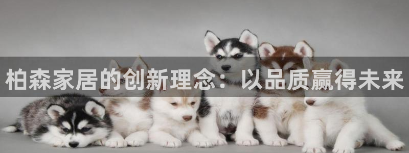 先锋娱乐理财logo