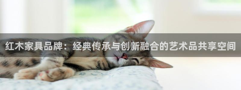 先锋娱乐场所