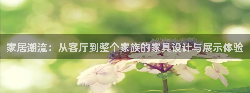 先锋娱乐大厅透视：家居潮流：从客厅到整个家族的家具设计与展示