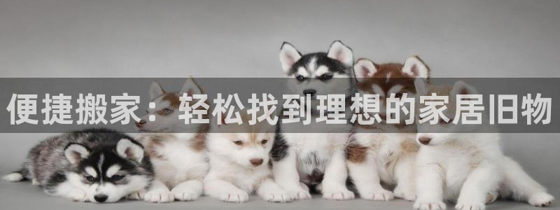 先锋娱乐平台