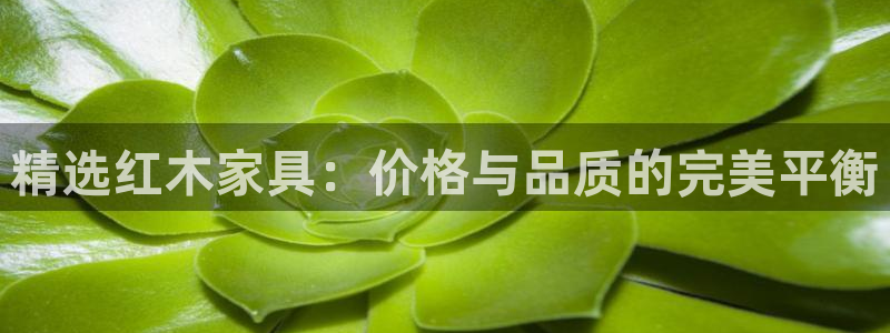 大连先锋娱乐：精选红木家具：价格与品质的完美平衡