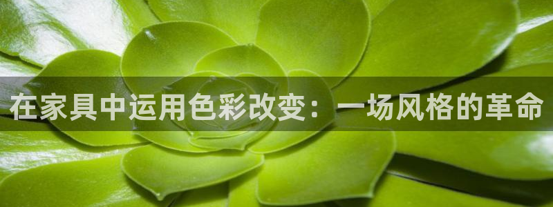 娱乐急先锋全集下载