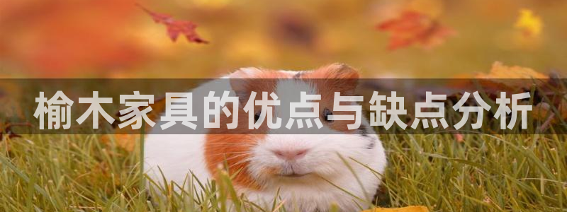 先锋娱乐大厅牛牛
