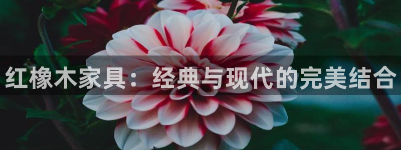 先锋娱乐是不是骗子