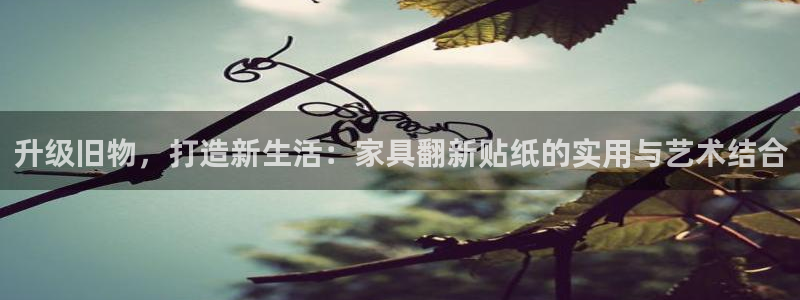 先锋娱乐管理集团怎么样