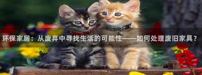 先锋娱乐集团