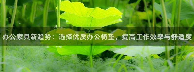 先锋岛娱乐