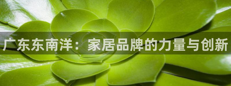 吉林先锋娱乐