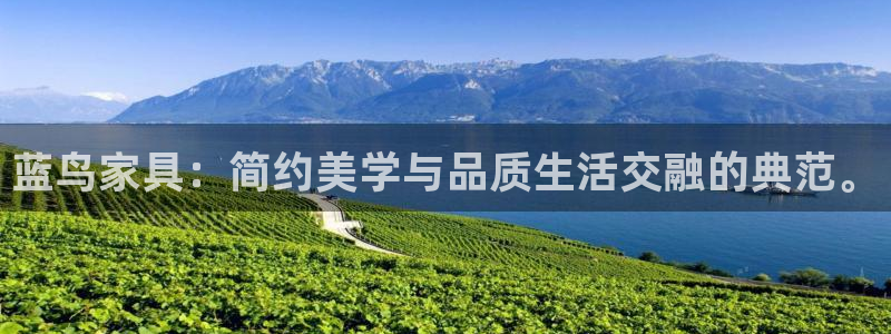 先锋娱乐传媒