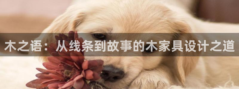 先锋银河娱乐