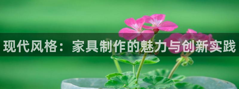 先锋娱乐扑克：现代风格：家具制作的魅力与创新实践