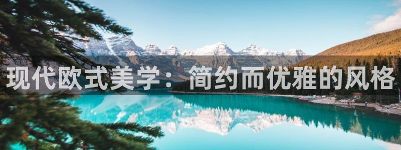 先锋娱乐账号：现代欧式美学：简约而优雅的风格