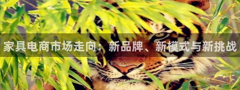 先锋娱乐币