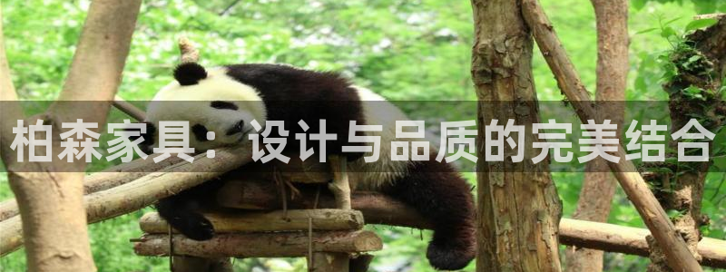 先锋电玩娱乐