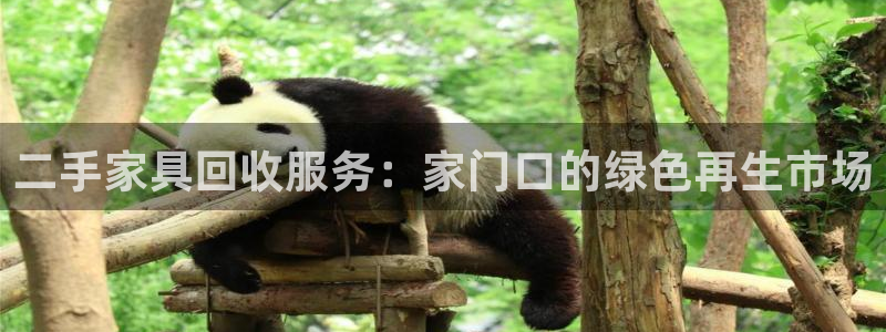 先锋娱乐电话