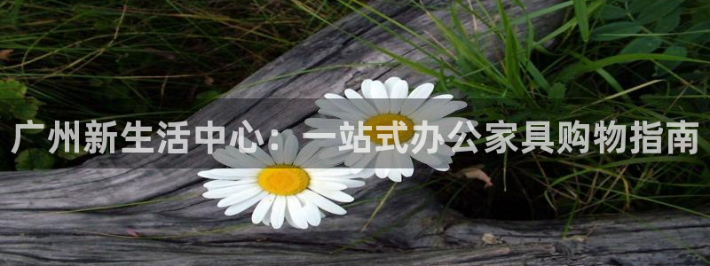 先锋娱乐客服：广州新生活中心：一站式办公家具购物指南