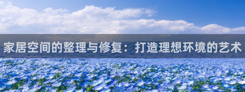 先锋娱乐游戏大厅下载：家居空间的整理与修复：打造理想环境的艺