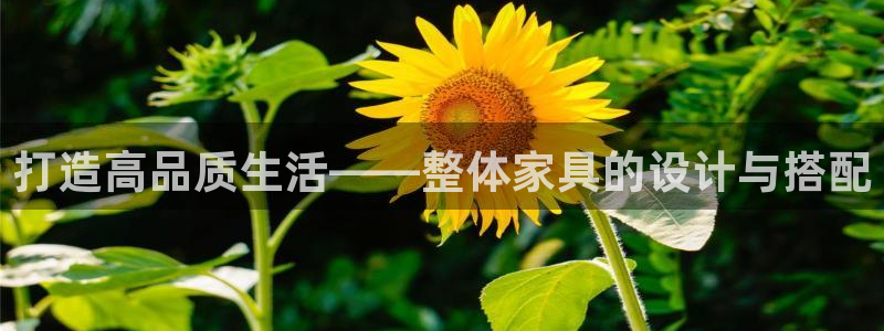 网上炸金花先锋娱乐
