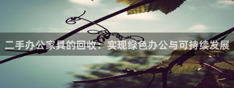 先锋互动娱乐