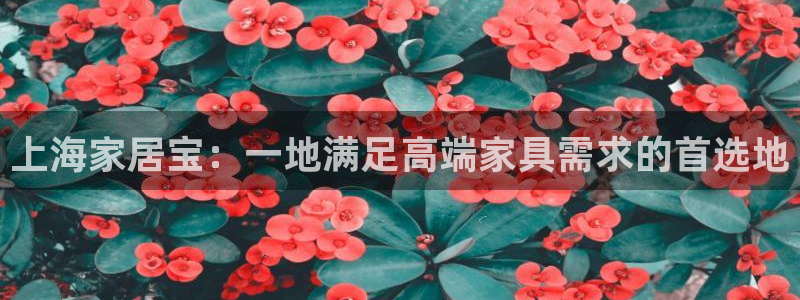 先锋娱乐官
