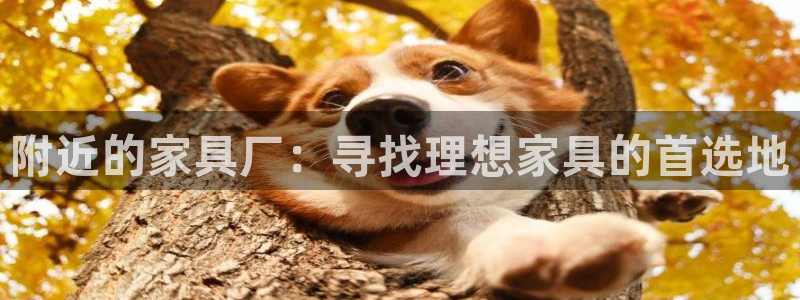先锋娱乐体育