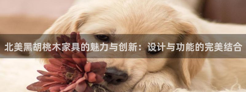 先锋娱乐官