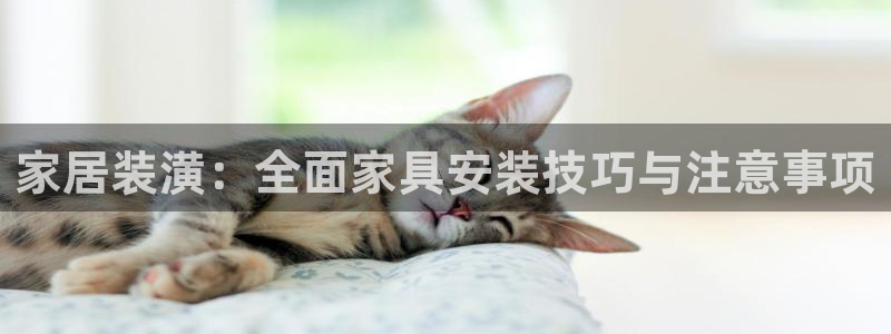 先锋娱乐在哪下载：家居装潢：全面家具安装技巧与注意事项