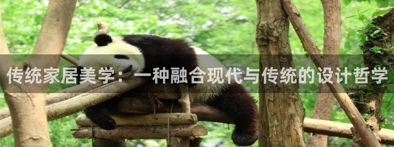 先锋娱乐剪辑