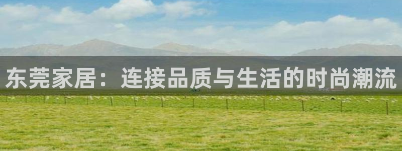 先锋娱乐集团：东莞家居：连接品质与生活的时尚潮流