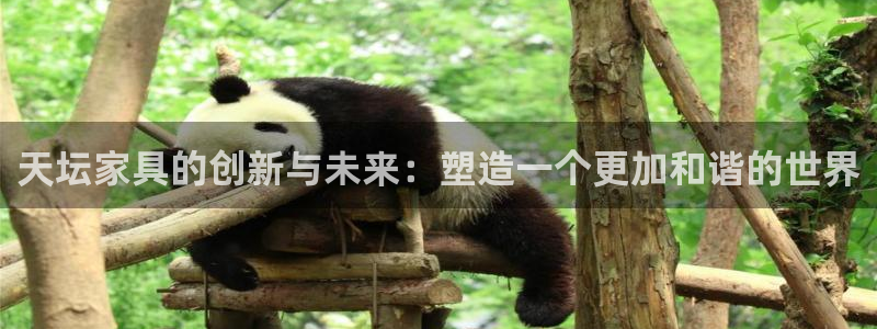 先锋娱乐邀请码多少